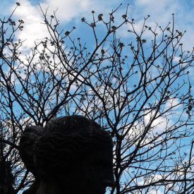 Perspectivas em Ciência da Informação v 22 n 2 2017